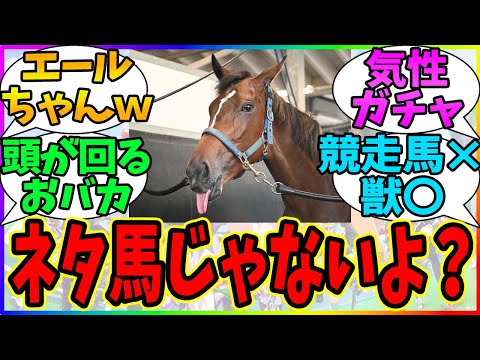 『メイケイエールってネタ馬なの？』に対するみんなの反応【競馬まとめ】