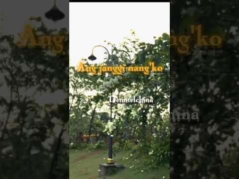 Ang Janggi Nangko | Chesak Sangma | Garo Gospel song