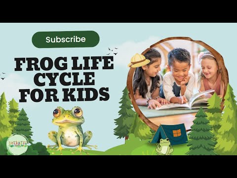 Metamorphosis: Facts About the life cycle of a frog for All Ages! Science for Kids