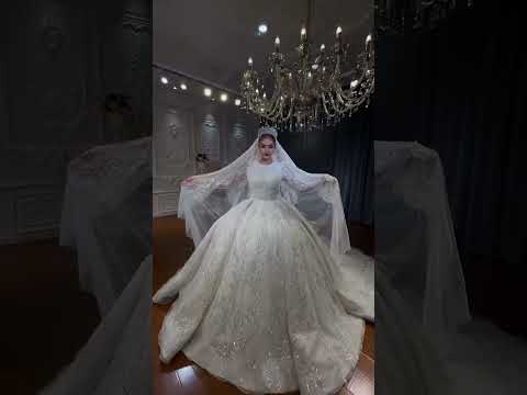 2025 modest wedding dress beautiful veil