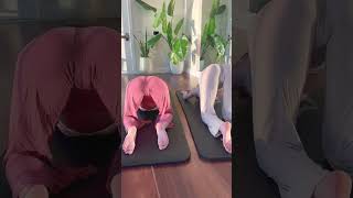 Puppy pose Flow yoga #puppypose #yoga #stitch #shorts