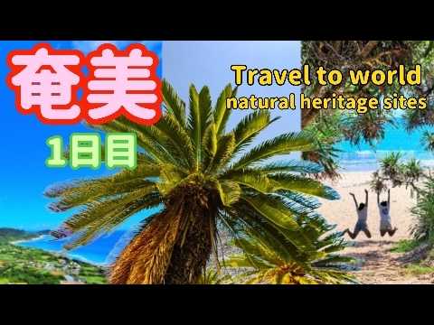 絶対行くべき旅行①【奄美大島】２泊３日/１０月/初日の行程Superb view on traveling in Japan