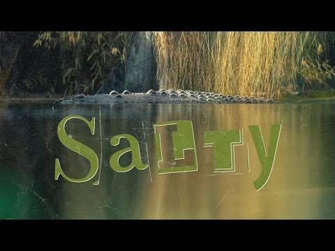 Salty: Meet the Beast