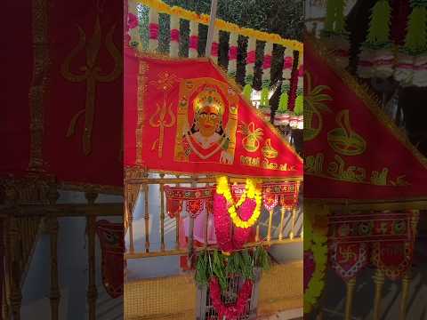 Martoli chehar maa martoli chehar mata mandir #chehar #cheharmaa #martoli #cheharmaasong