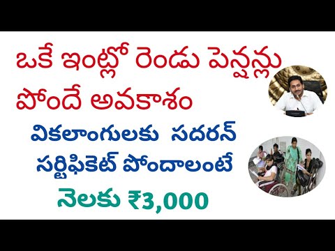 sadaram certificate  apply process in telugu|| pension ₹3,000 updatell