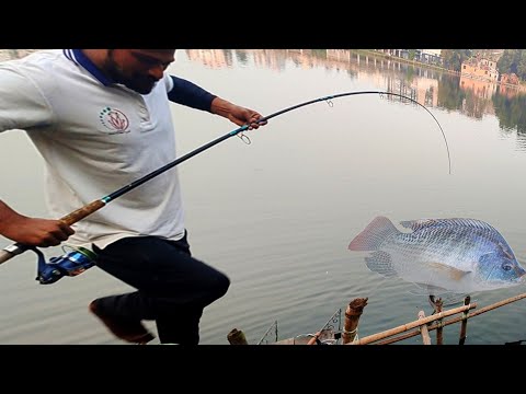 মাছের টানটা দেখার মতো ছিলো |Traditional Boys Net Fishing by Flood  #fish #fishing #hookfishing