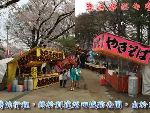 松本城與沼田城跡公園賞櫻之旅