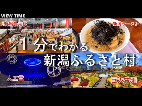 【新潟最大の道の駅】新潟ふるさと村（観光/お土産/グルメ/バザール館/アピール館/アクセス/料金）