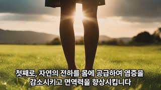 어싱(earthing)!! 장단점 어싱제품