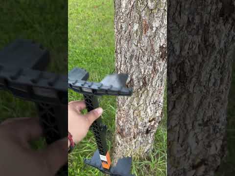 Latitude Carbon Sticks stuck on tree!! #saddlehunting #hunting #shorts