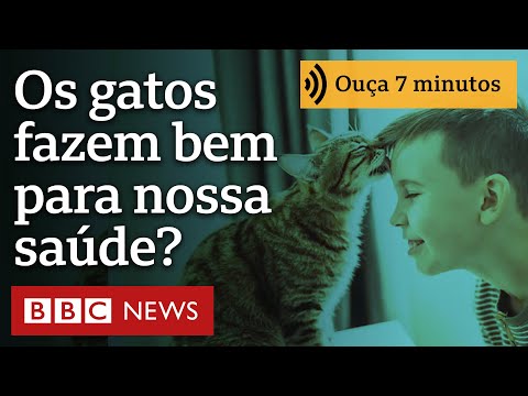 Os gatos fazem bem para nossa saúde?