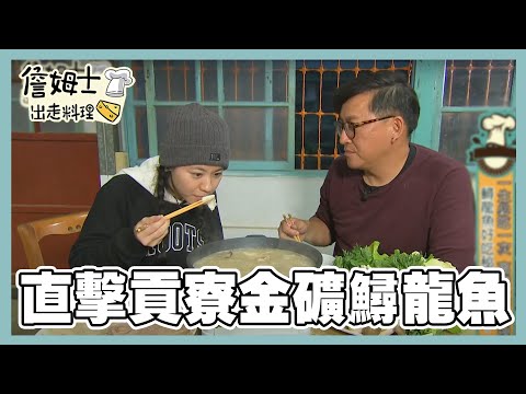 《精選詹姆士棒的-特輯27》直擊貢寮金礦中的寶藏鱘龍魚 北門一甲子鰻魚三吃 東勢鵝肉產地之鄉