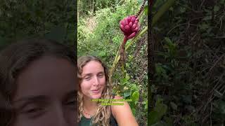 Wildlife Biologist exploring the jungles of Ecuador 🇪🇨 #nature #wildlife #jungle #wild #ecuador