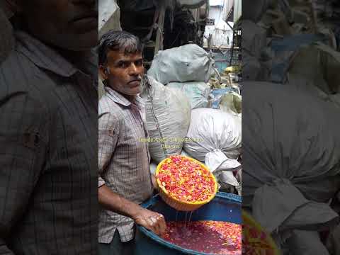 Dharavi, Mumbai with a population of 1,000,000 people