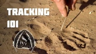 Tracking 101- Black Scout Tutorials