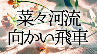 将棋界でウワサになっている「菜々河流向かい飛車」やってみた