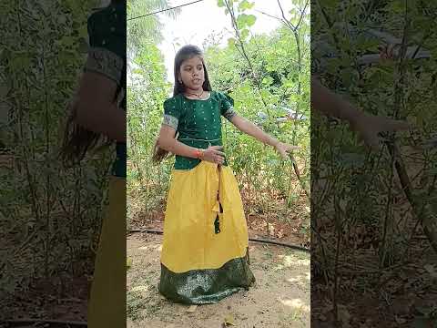 badal barsa bijuli #trendingdance #rainsong #shortvideo #ytshort