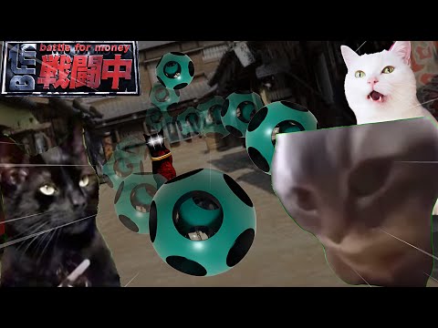 戦闘中をすることになった猫たちの日常Part4【猫ミーム】【猫マニ】