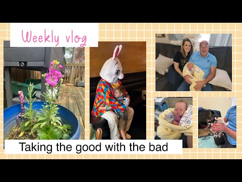 Weekly Vlog! The Easter bunny and new addition to the family along with some sad news #weeklyvlog