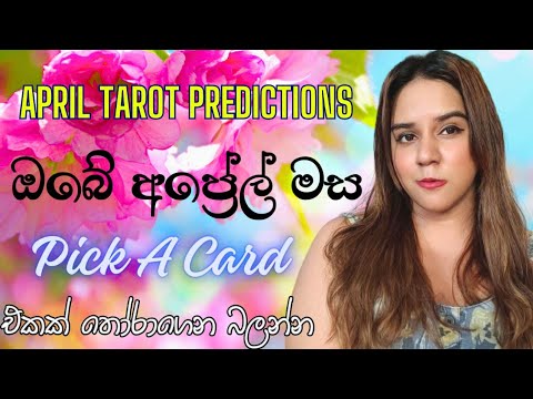 අප්‍රේල් මාසය ඔබට කොහොමද ❤️ Pick A Card April Predictions Tarot Reading Sinhala