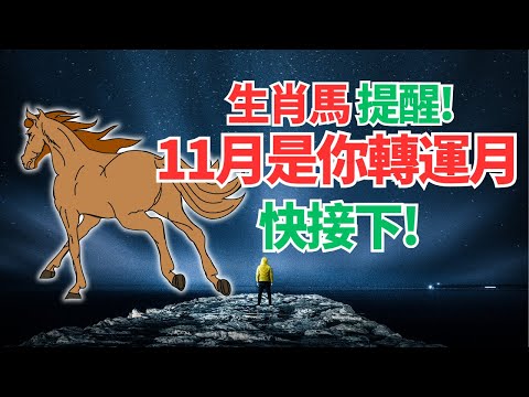 生肖馬，命理推算：11月是你的轉運月，神秘力量會帶來財富與幸福！快看意外驚喜是什麼？#2024年屬馬運程 #2024生肖馬運勢 #2024属马运势 #2024属马运程