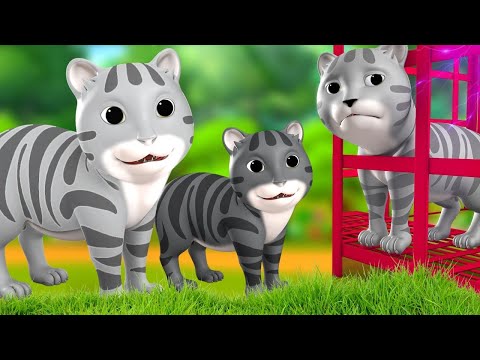 काली और सफेद बिल्ली - Black and White Cat Story | Hindi Kahaniya Comedy Moral Stories JOJO TV