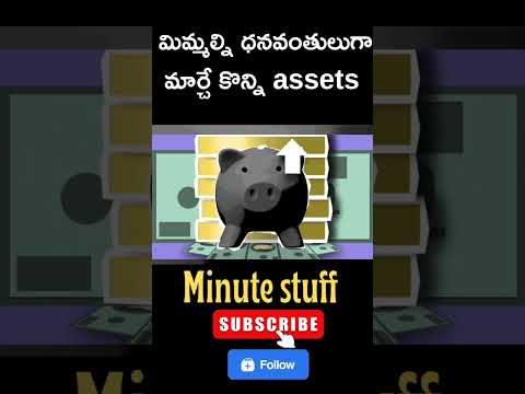 మిమ్మల్ని ధనవంతులుగా మార్చే కొన్ని assets #minutestuff #interestingfacts