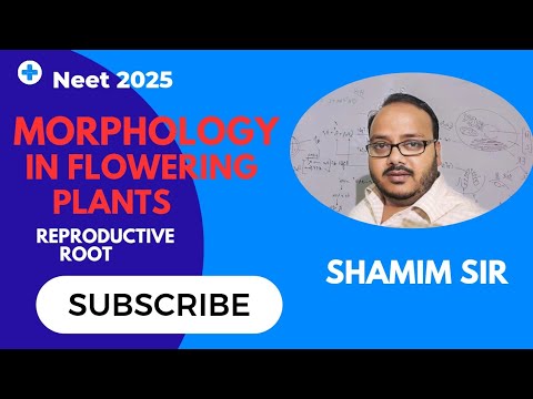 Reproductive root|Morphology in Flowering plants 🪴|NEET