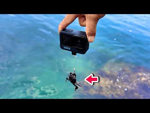 カニとGoProを海に落とすと…