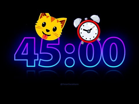 ⚡ Electric Timer ⚡ 45 Minute Countdown