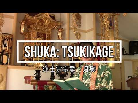 Jodo-Shu 浄土宗 Shuka 宗歌 Tsukikage 月影 Hawaii ハワイ開教区 Japanese/English 日本語/英語 Aloha shirts アロハシャツ