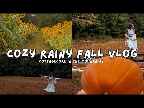 🎃🌧️ Cozy Rainy Autumn Countryside Vlog 🍂✨ Slow Living, Simple Life, Cottage Tour, Cozy Autumn Vlog