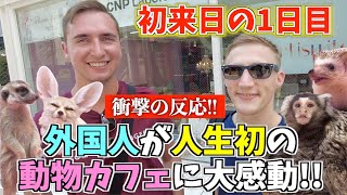 日本に来て1日目！人生初の動物カフェに行ってみたら感動が止まらない！【連れてきてくれてありがとう!!】