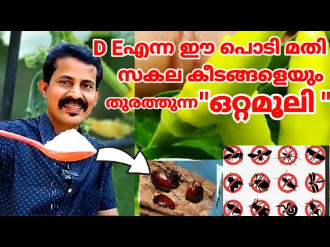 ഈ പൊടി മതി മുഞ്ഞ മിലീബഗ് ഉറുമ്പ് ചെള്ള് പാറ്റ നിശേഷം നശിപ്പിക്കാൻ Pest killing dust Btech Mix media