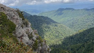 Hiking in the Smokey Mountains - Pollinators, Waterfalls, Wildflowers - Relaxation for All