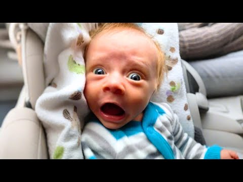 Adorable and Hilarious Baby Reactions Compilation! 🥰🤣