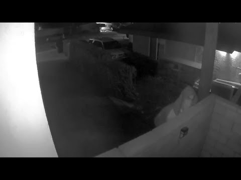 15 Most Disturbing Things Caught on Doorbell Camera (Vol.2)