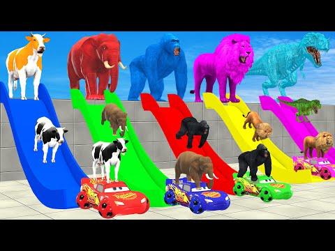 Long Slide Game With Elephant Gorilla Buffalo Hippopotamus Tiger - 3d Animal Game - Funny 3d Animals