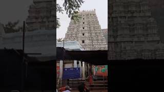 Tirupati Venkateshwara swamy temple 🙏#tirupati #tirumala #tirupatibalaji #lordvenkateshwara #lord