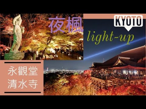 [Kyoto] 2022日本京都夜楓點燈 Kyoto light-up 清水寺 Kiyomizu Temple vs 永觀堂 Eikando Temple