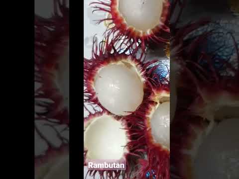 Bagong Pitas #rambutan #fruit #ytshorts #shorts