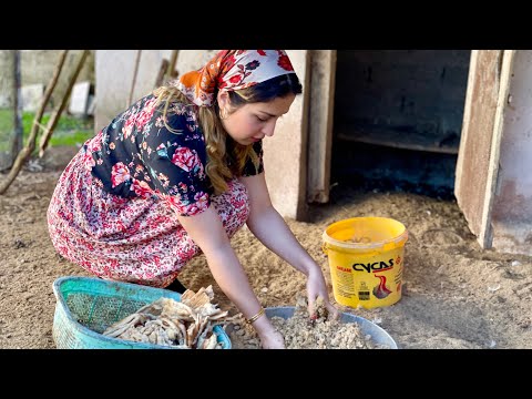 Iran Village Lifestyle in Autumn | Daily Routine Village Life in Iran