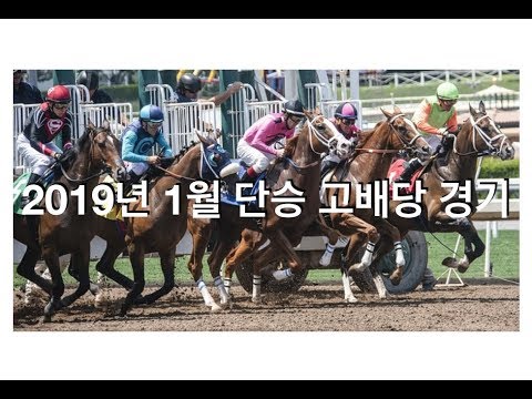 19년 1월 단승 고배당 경마 경기 #단승백배