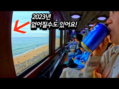 2023년 올해 꼭 타봐야 하는 동해바다열차 여행ㅣ운행중단위기?!ㅣ정동진 당일치기 여행ㅣ강원도 여행 추천코스ㅣ바다기차여행ㅣ추암촛대바위ㅣ동해바다열차이용꿀팁ㅣ기차타고동해안여행