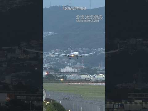 ANA B767-300ER | Gently land even in strong winds during typhoons | Osaka ITAMI Airport