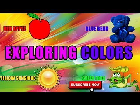 Colorful Adventures Exploring Bright Colors