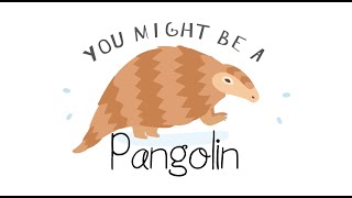 "Pangolin" SONGS | Modern Kid | Slugs & Bugs