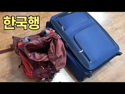 살짝 도피성 한국행ㅣ캐나다 출국 한국입국 준비 브이로그 vlog 당분간 한국 일상