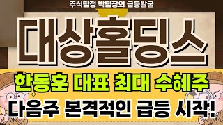 대상홀딩스 - 한동훈 테마주 대상홀딩스 주가 전망 및 대응