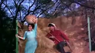 Kaanton Se Kheench Ke Yeh Aanchal - Lata Mangeshkar - Dev Anand, Waheeda Rehman - Guide 1965